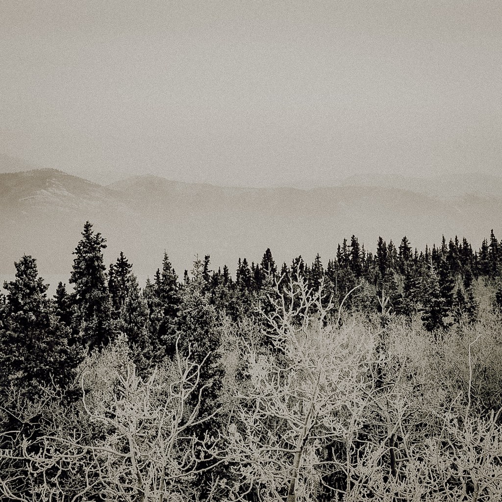 Writing Advice From a&nbsp;Squirrel